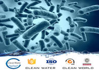 Polvo aerobio del agente de las bacterias de las bacterias del tratamiento de aguas para el tratamiento de aguas residuales